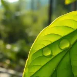 Grzybica pod pachami: objawy, przyczyny i skuteczne metody leczenia